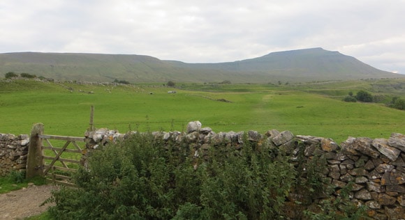 Gate-heading-towards-Ingleborough