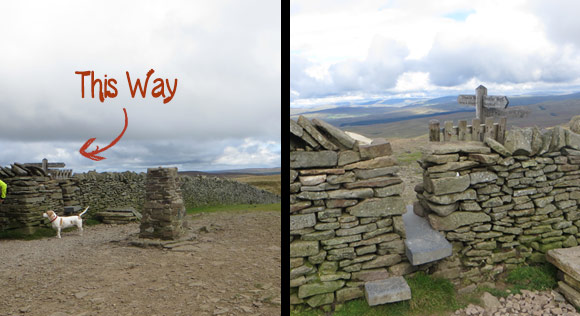 Pen-y-ghent-summit-to-Whernside