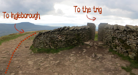 Whernside-summit