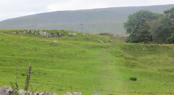 Worn-grass-towards-Ingleborough