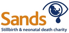 SANDS logo