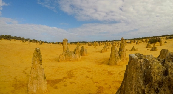 The Pinnacles Nambung National Park