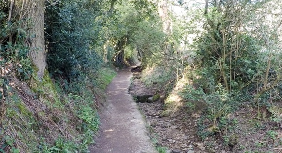 Overgrown path at the start of The Pennine Way