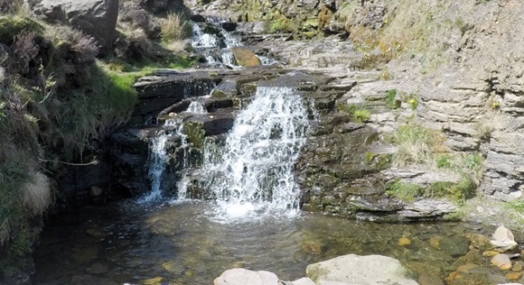 Stream down Grinds Brook