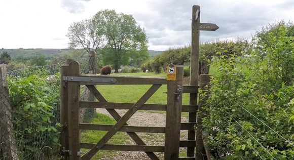 Gate leading to Lose Hill