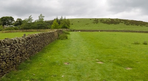 Grassed incline to Lose Hill