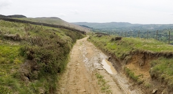 Muddy path