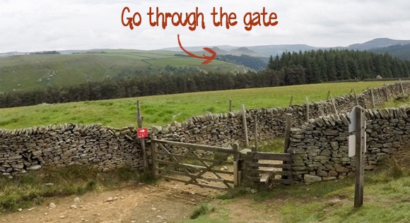 Pass through the gate