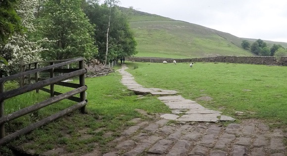 Path after wooden Bridge