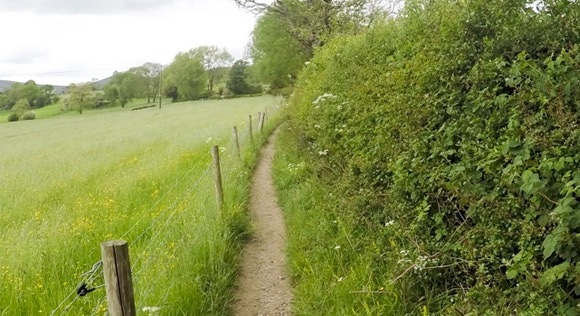 route leading to Lose Hill