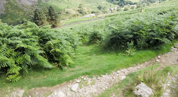Route to stone wall