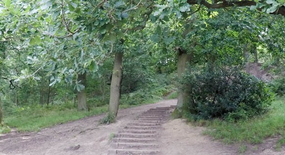 Steps at the start of Roseberry Topping