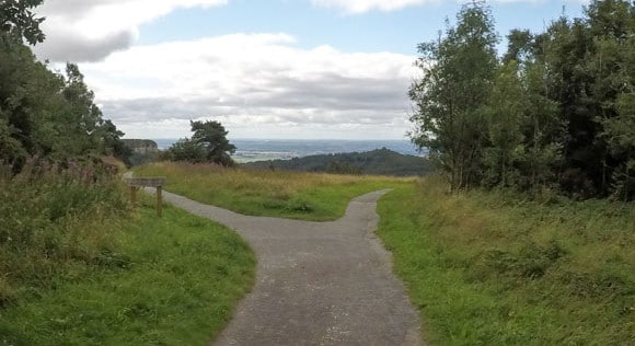 Split in path at start of White Horse Walk