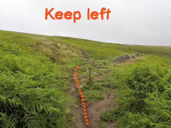 Keep left at signpost