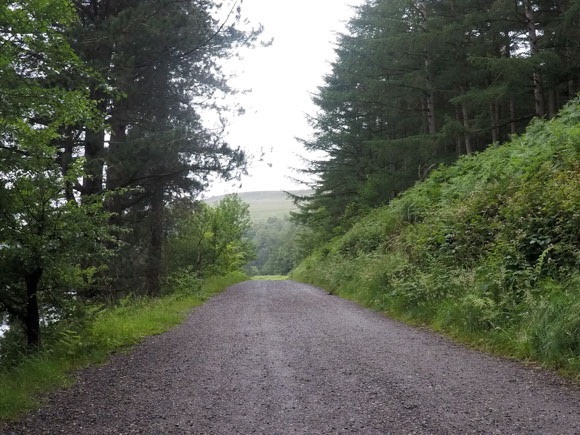 Road leading from Derwent Dam