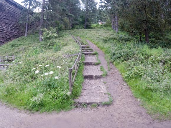 Steps near Derwent dam