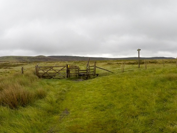 Stile and gate