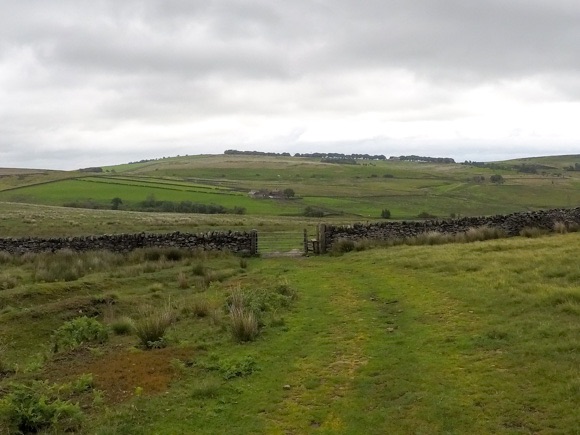 grassed route to stange edge