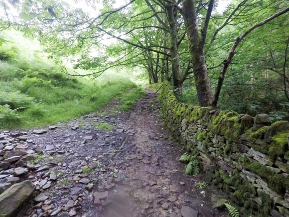path along stone wall
