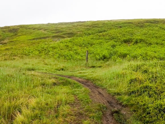 path leading to the left