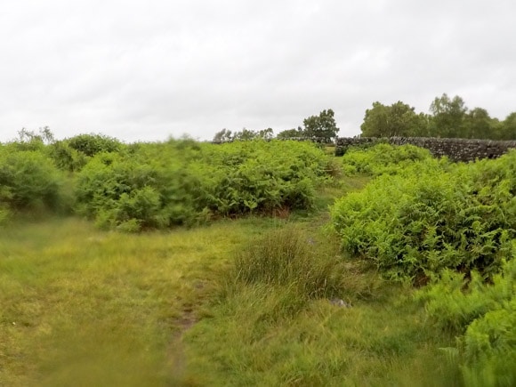 Gap in stone wall to Gardoms Edge