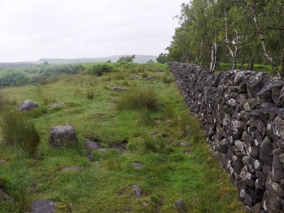 Stone wall to Gardoms Edge