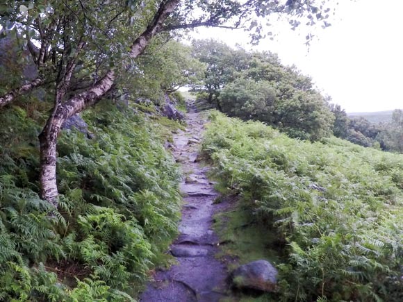 path to Gardoms Edge