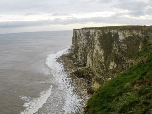 Bempton Cliffs 11