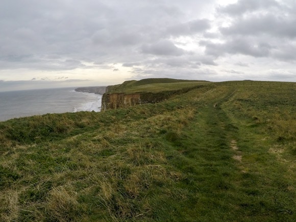 Bempton Cliffs 14