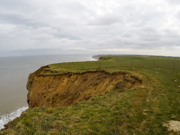 Bempton Cliffs 18
