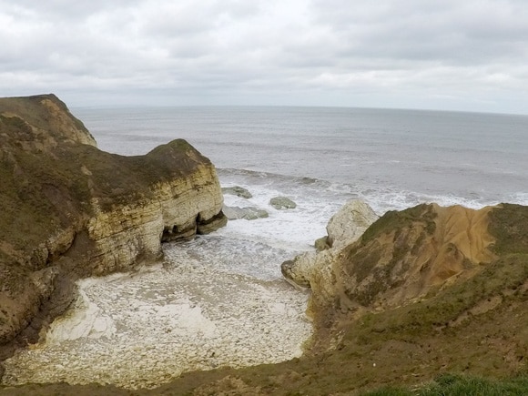 Bempton Cliffs 29