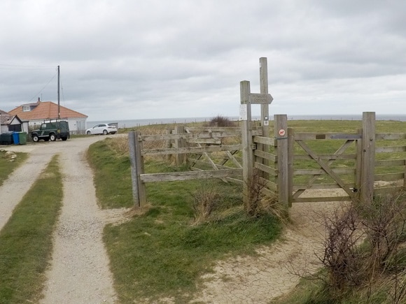 Bempton Cliffs 33