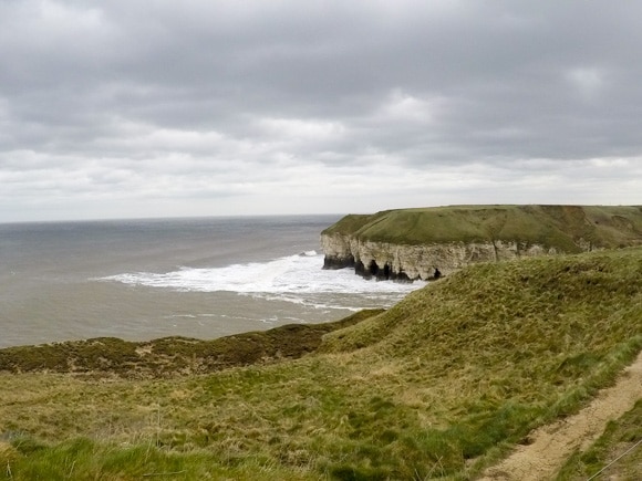 Bempton Cliffs 34