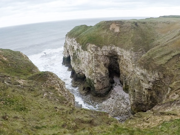 Bempton Cliffs