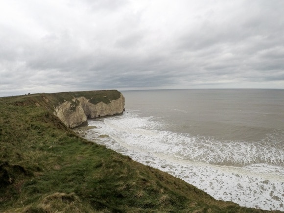 Bempton Cliffs 43