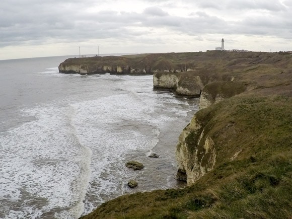 Bempton Cliffs 45