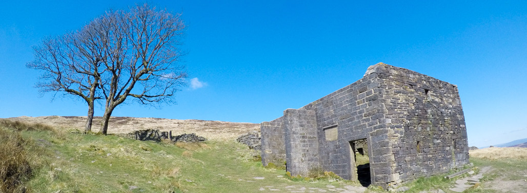 Bronte Waterfalls Circular Walk featured image