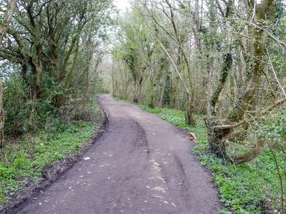 River Nidd Gorge Walk