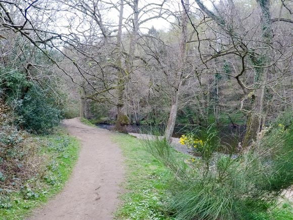 River Nidd Gorge Walk