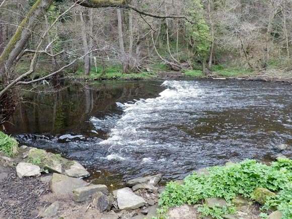 River Nidd Gorge Walk