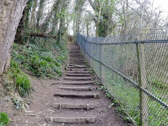 River Nidd Gorge Walk