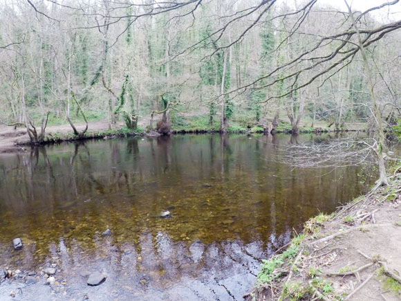 River Nidd wider