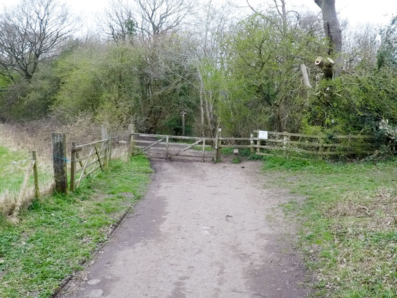 Start of woodland area River Nidd