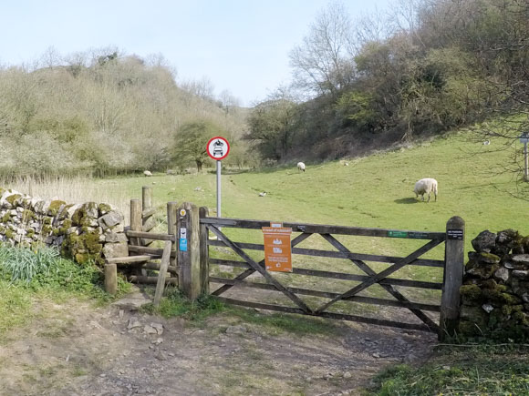 Thors Cave to Wetton 8