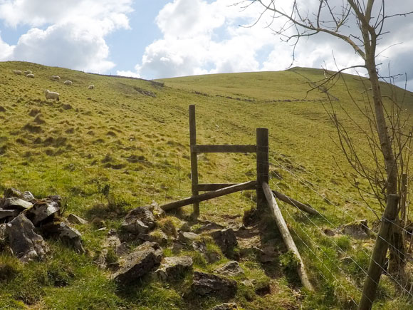 Dovedale to Milldale Walk 20