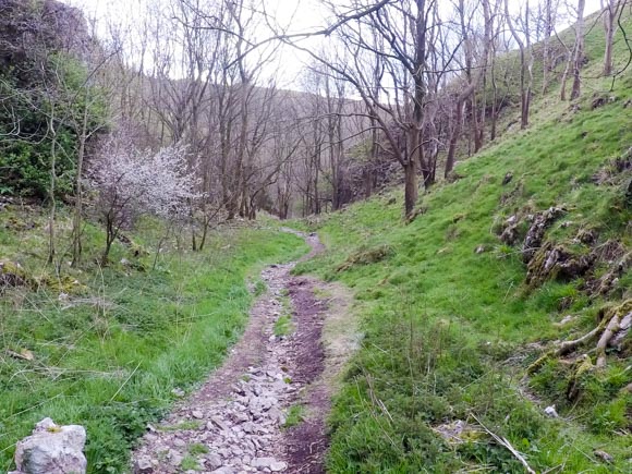 Dovedale to Milldale Walk 31