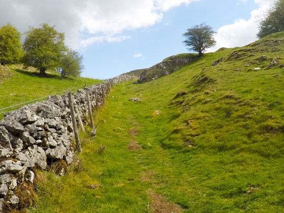 Dovedale to Milldale Walk 40