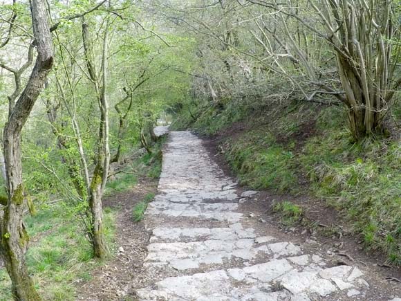 Dovedale to Milldale Walk 7