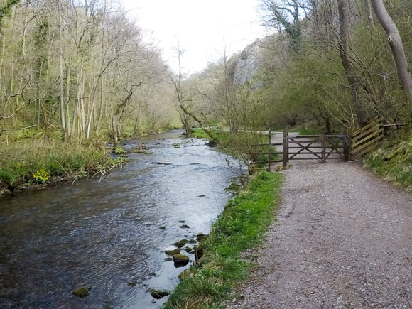 Dovedale to Milldale Walk 8