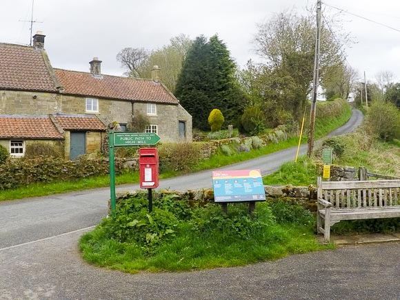 Farndale Daffodil Walk 1